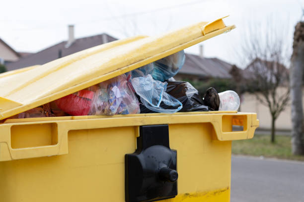 Best Same-Day Junk Removal Services  in Niles, MI